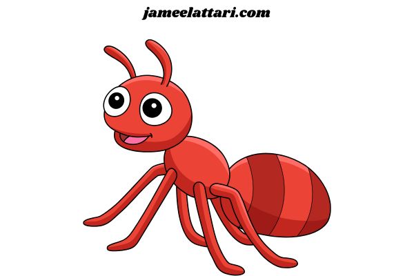 Ants Coloring Pages