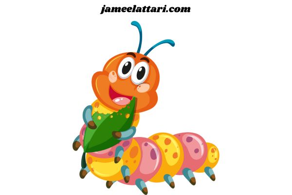 Caterpillar coloring Pages