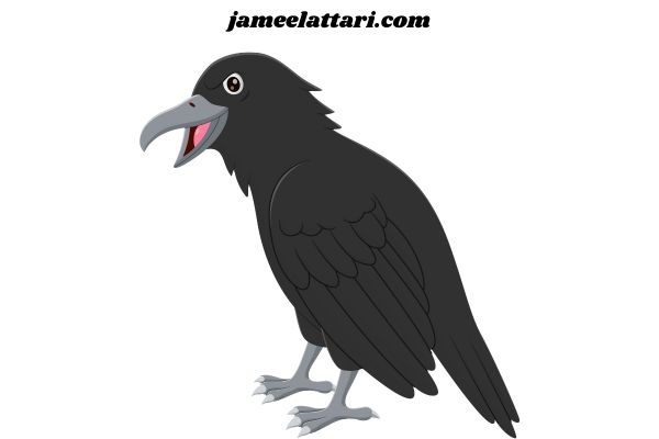 Crow Coloring Pages