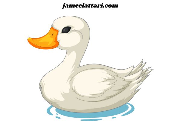 Duck Coloring Pages