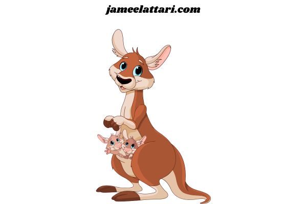 Kangaroo coloring Pages