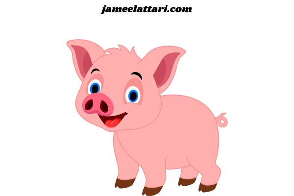 Pig Coloring Pages