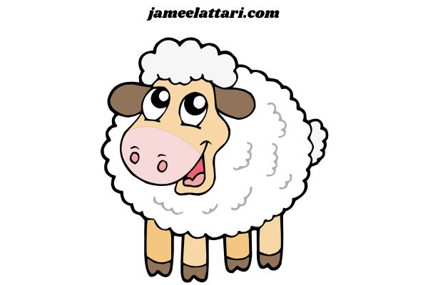 Sheep Coloring Pages