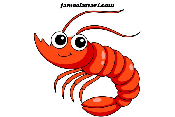 Shrimp Coloring Pages