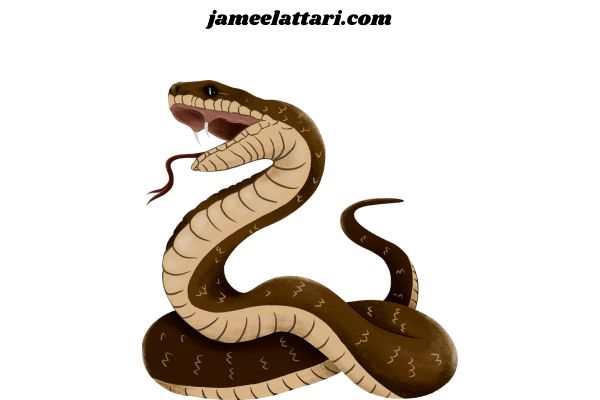 Snakes coloring Pages