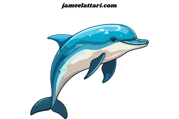 dolphin coloring Pages