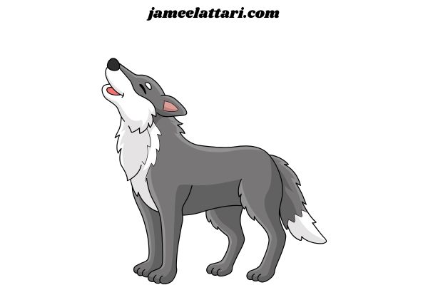 wolf coloring Pages